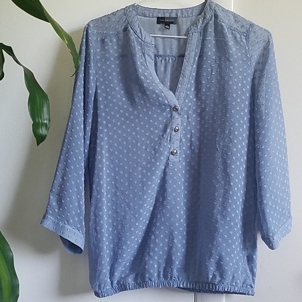 THE LIMITED sheer dots blue top